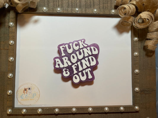 Find out Car Freshies