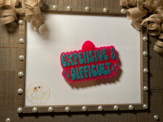 Expensive & difficult Car Freshies